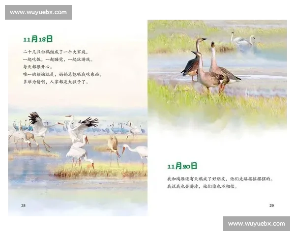 《动物园中的竞赛日记：五大动物挑战赛的激烈对决与背后故事》