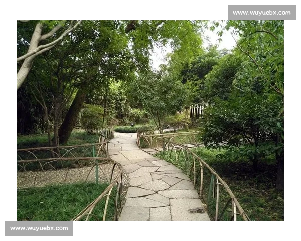 《温暖的家，岁月中的点滴故事我的家的回忆与情感》